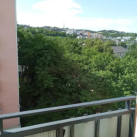 2-room With Balcony And Loggia Apartment